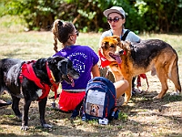 Adoptuj Warszawiaka  Wydarzenie promujące adopcję zwierząt. Organizator: Schronisko dla Bezdomnych Zwierząt "Na Paluchu". 18 sierpnia 2019, Park Raszyński w Raszynie. : park raszyński, adoptuj warszawiaka, na paluchu, schronisko dla zwierząt, centrum warszawy, raszyn